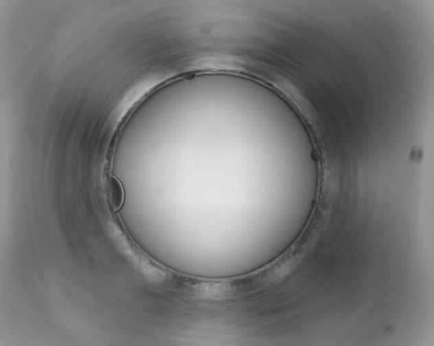 X0000113120893200908281040