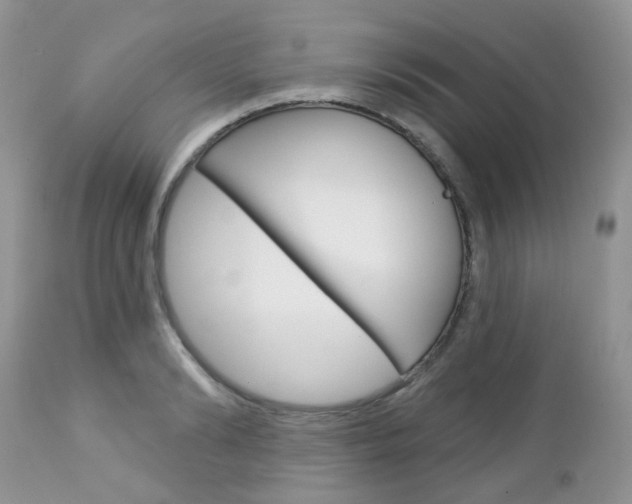 X0000113120894200908281039