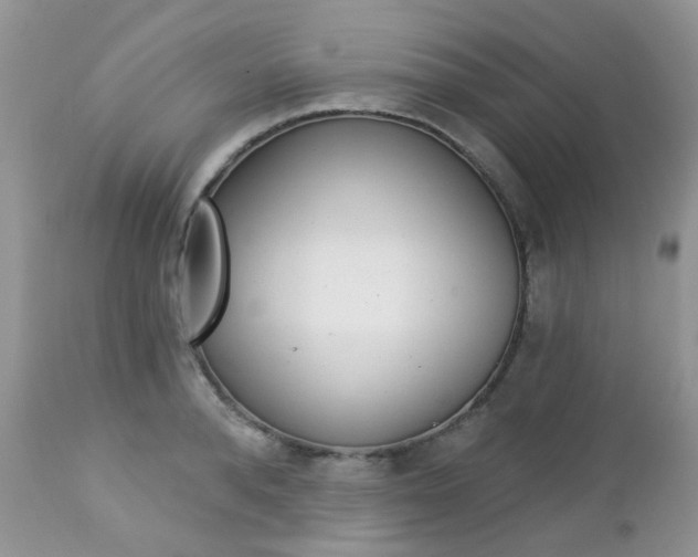 X0000113120896200908281039