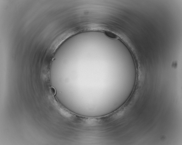 X0000113120897200908281039