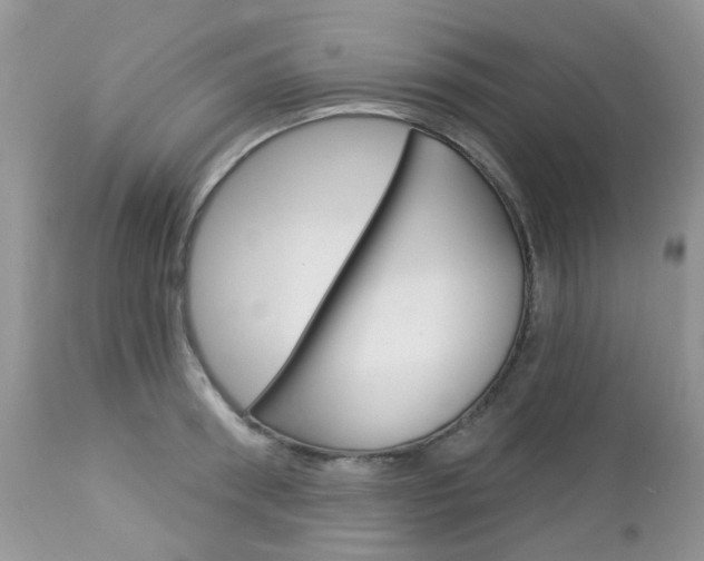 X0000113120898200908281039