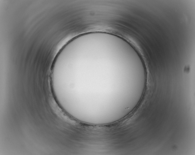 X0000113120899200908281039