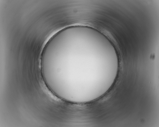 X0000113120900200908281039