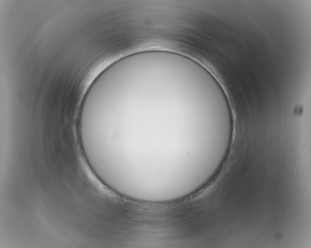 X0000113120901200908281039