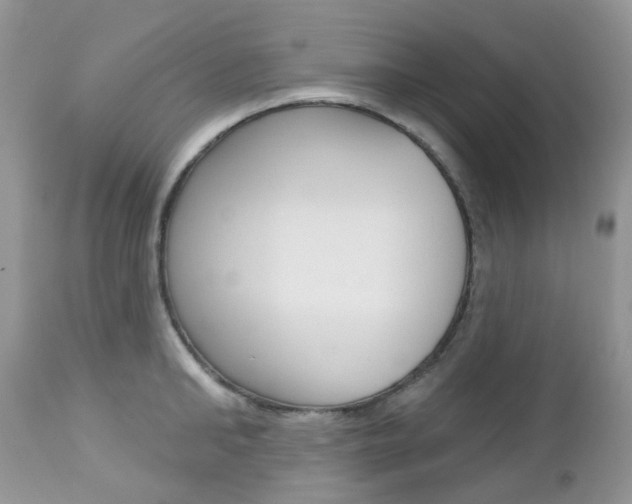 X0000113120902200908281039