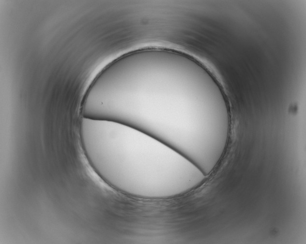 X0000113120903200908281039