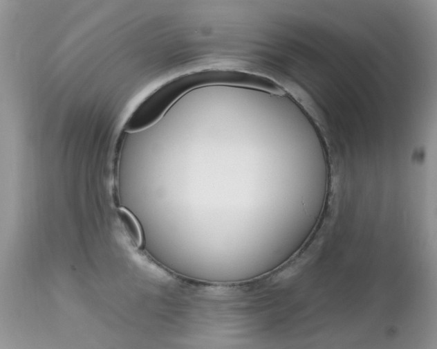 X0000113120904200908281039