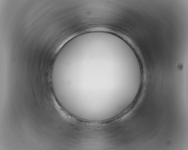 X0000113120905200908281039