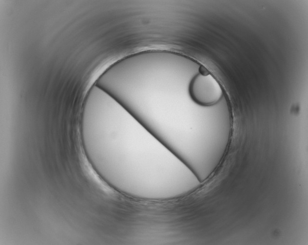X0000113120906200908281039