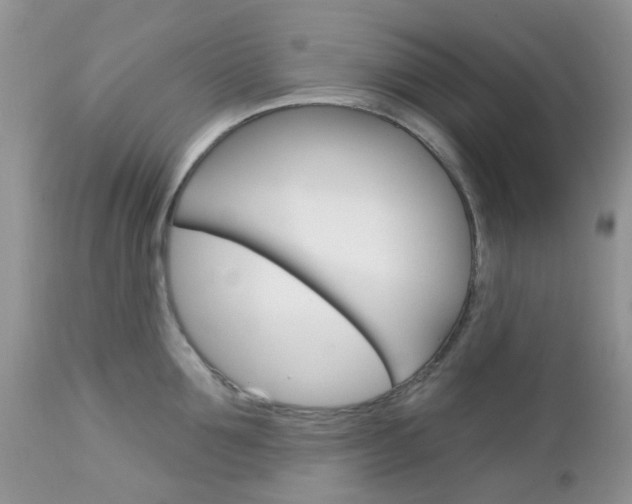X0000113120907200908281039