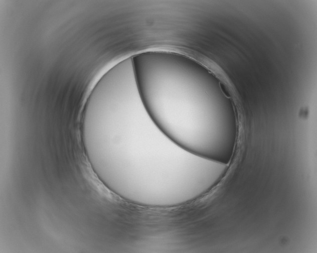 X0000113120908200908281039