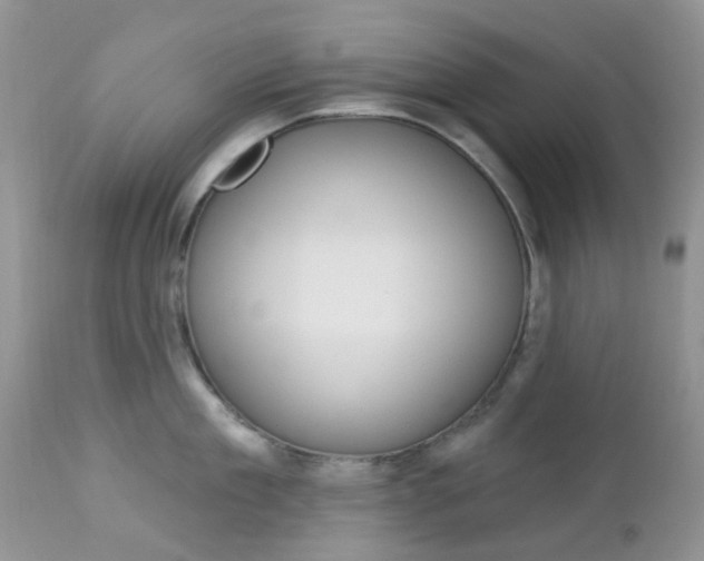 X0000113120909200908281039