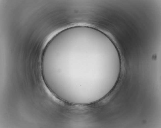 X0000113120910200908281039