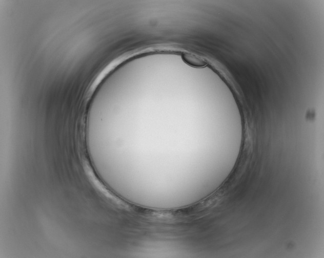 X0000113120911200908281039