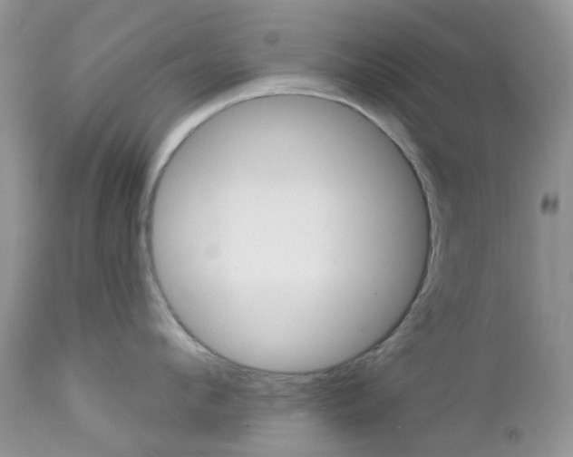 X0000113120912200908281039