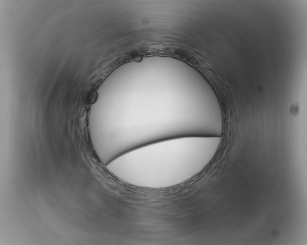 X0000113120914200908281038