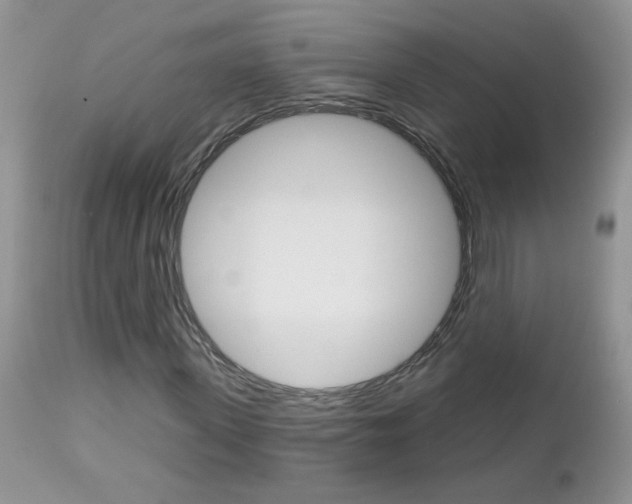 X0000113120915200908281038