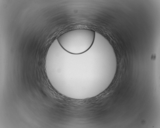 X0000113120916200908281038