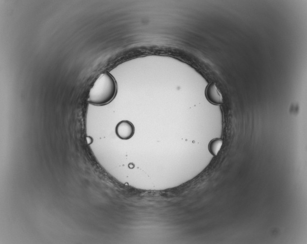X0000113120918200908281038