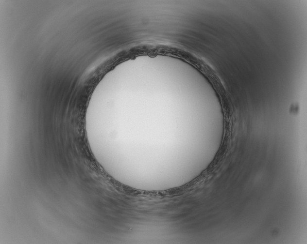 X0000113120919200908281038