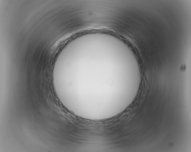 X0000113120920200908281039