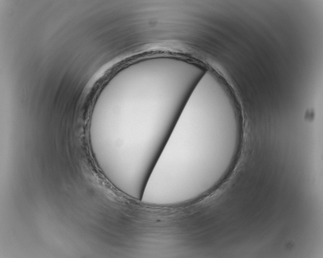 X0000113120923200908281039