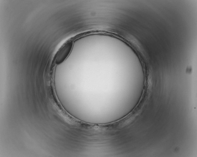 X0000113120924200908281039