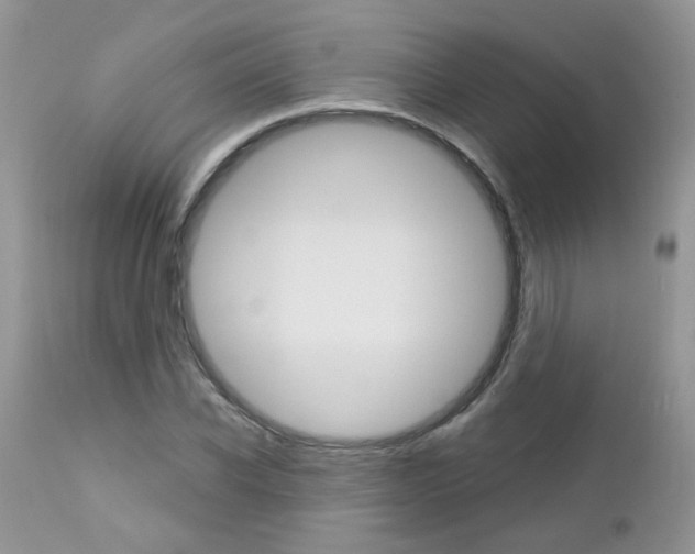 X0000113120926200908281039