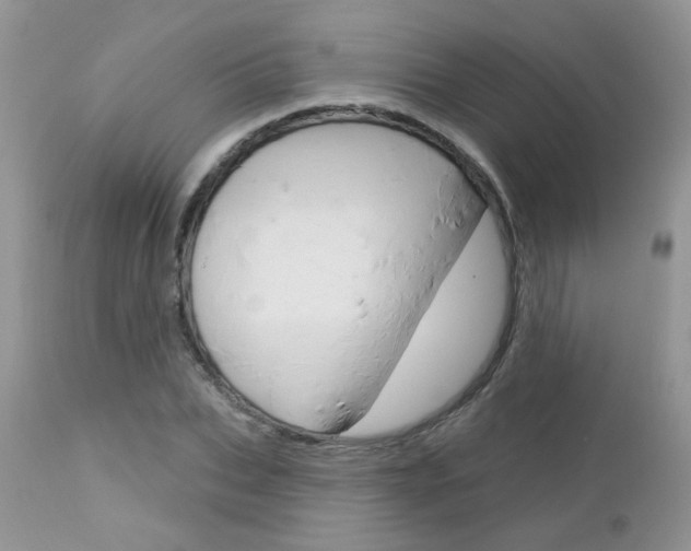 X0000113120927200908281039