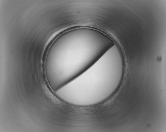 X0000113120932200908281039