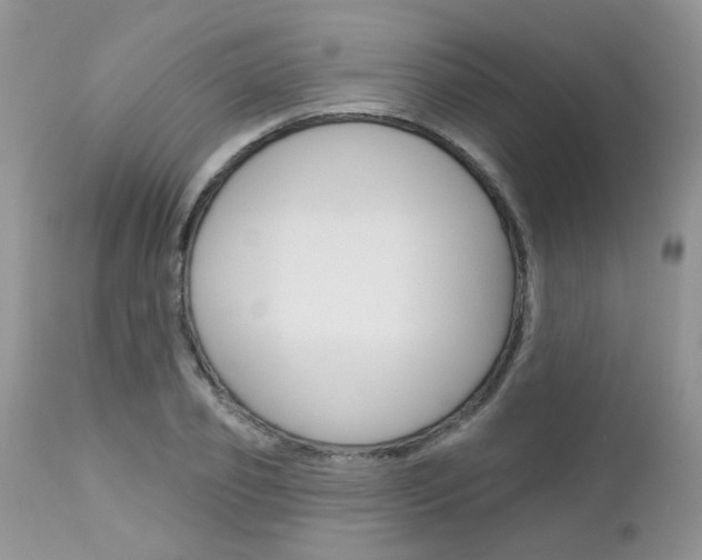 X0000113120933200908281039