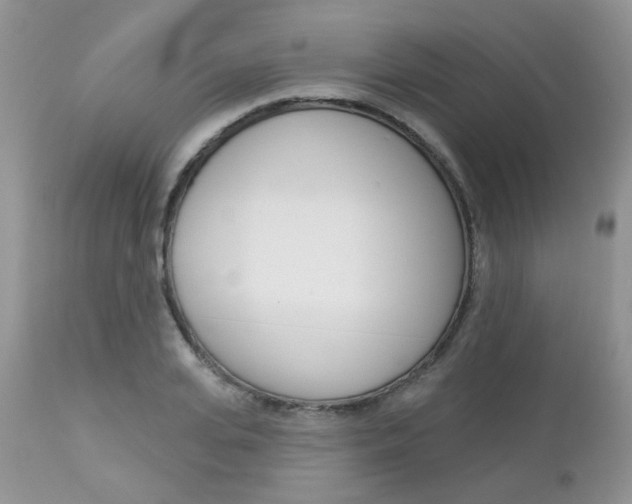 X0000113120935200908281039