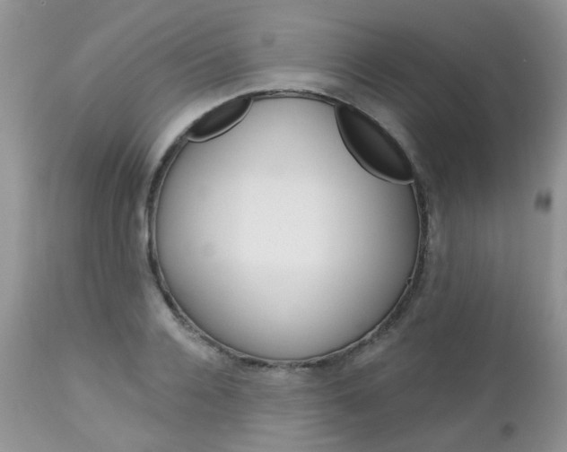 X0000113120936200908281039