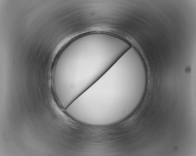 X0000113120939200908281039