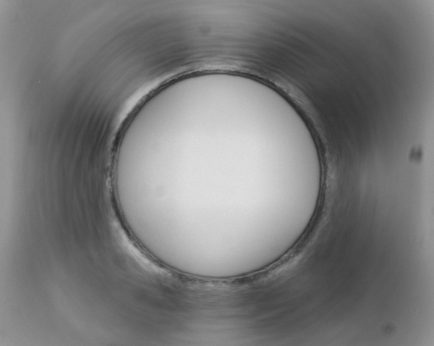 X0000113120941200908281039