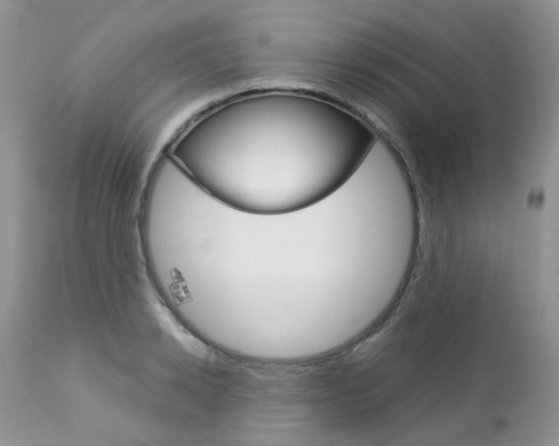 X0000113120942200908281039
