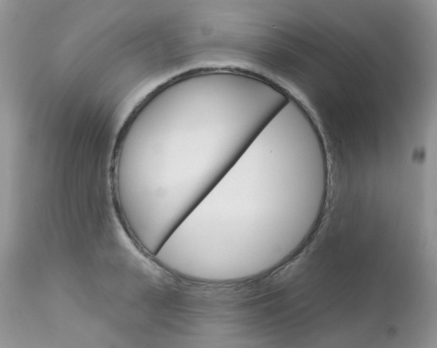 X0000113120943200908281039