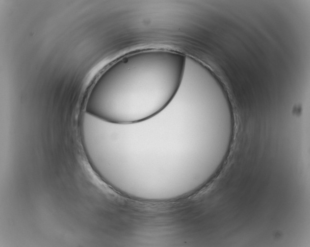 X0000113120944200908281039
