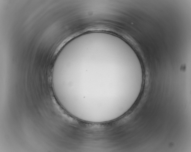 X0000113120945200908281039