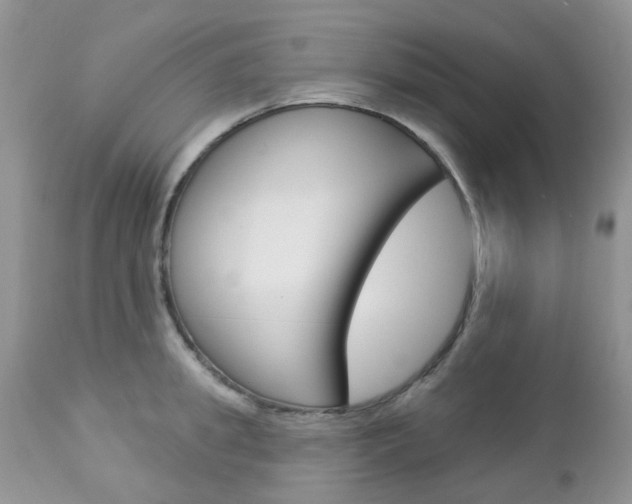 X0000113120949200908281039