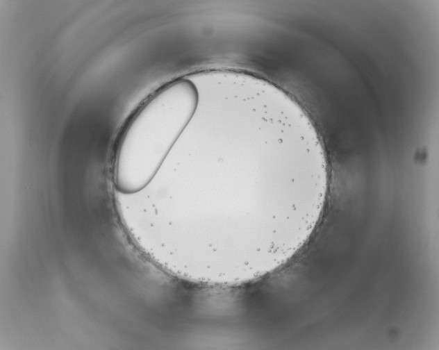 X0000113120950200908281039