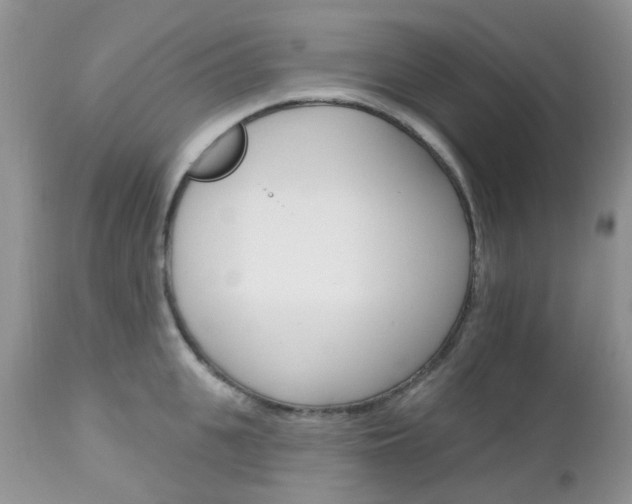 X0000113120951200908281039
