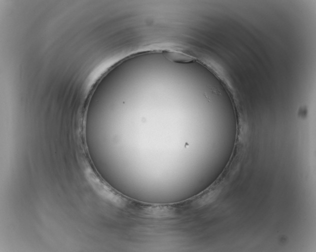 X0000113120952200908281039