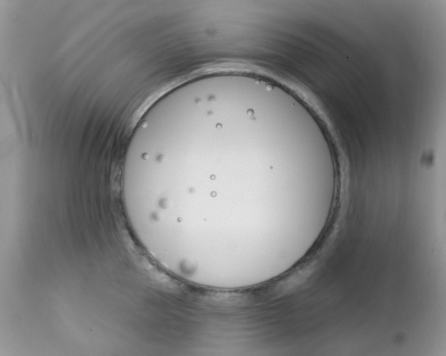 X0000113120953200908281039