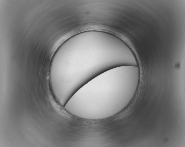 X0000113120954200908281039