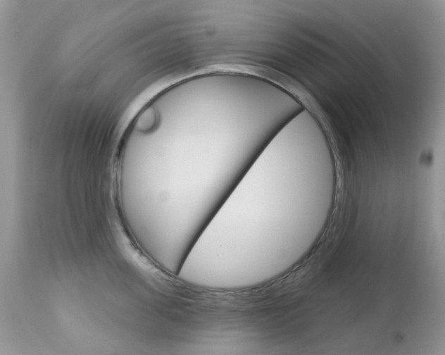 X0000113120955200908281039