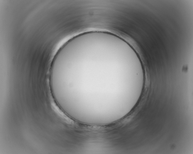 X0000113120958200908281039