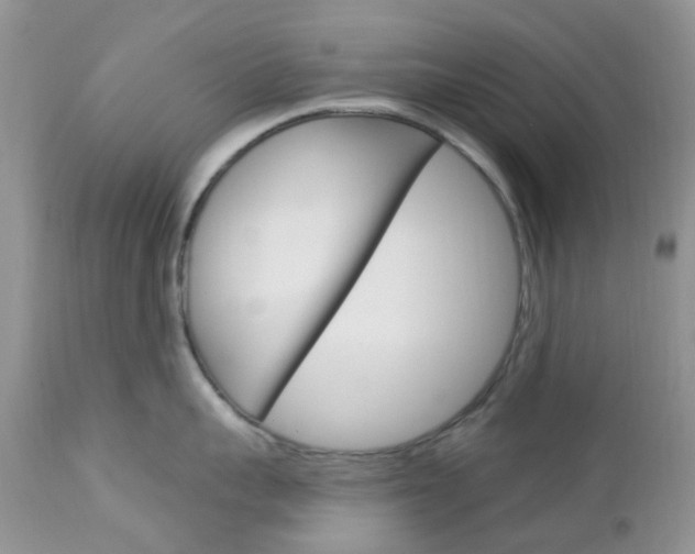 X0000113120959200908281039