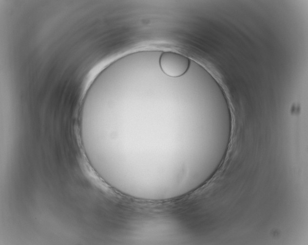 X0000113120960200908281039