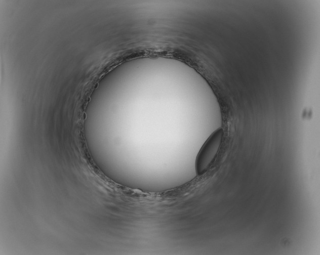 X0000113120961200908281038